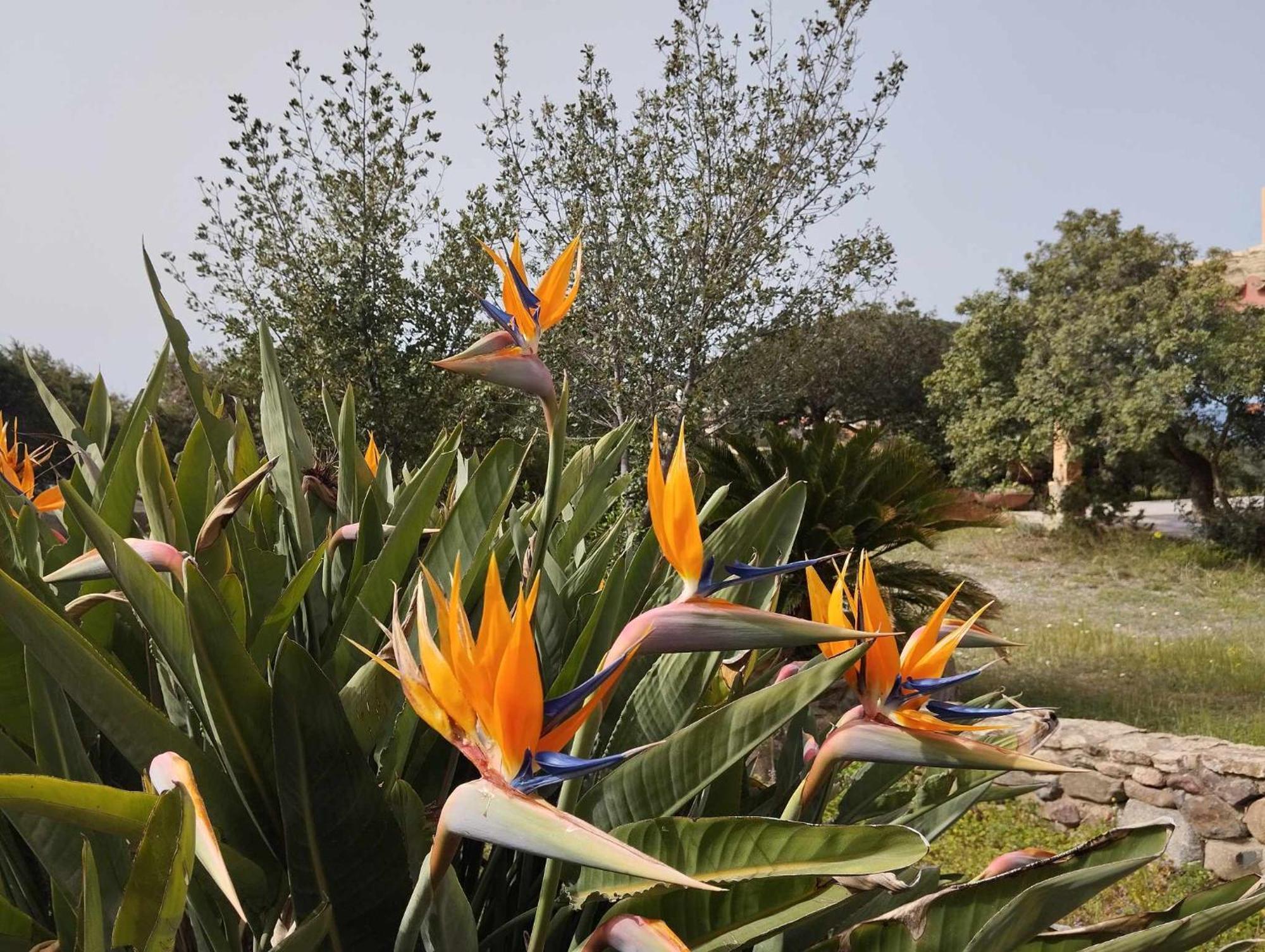 Holiday Home Riccio Di Mare Sardinia Marongiu Екстер'єр фото